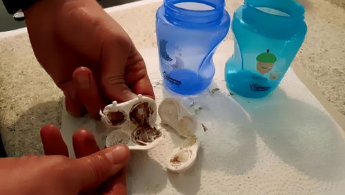 下面这3种婴儿用品，比坐便还脏？为了孩子健康，赶紧扔了